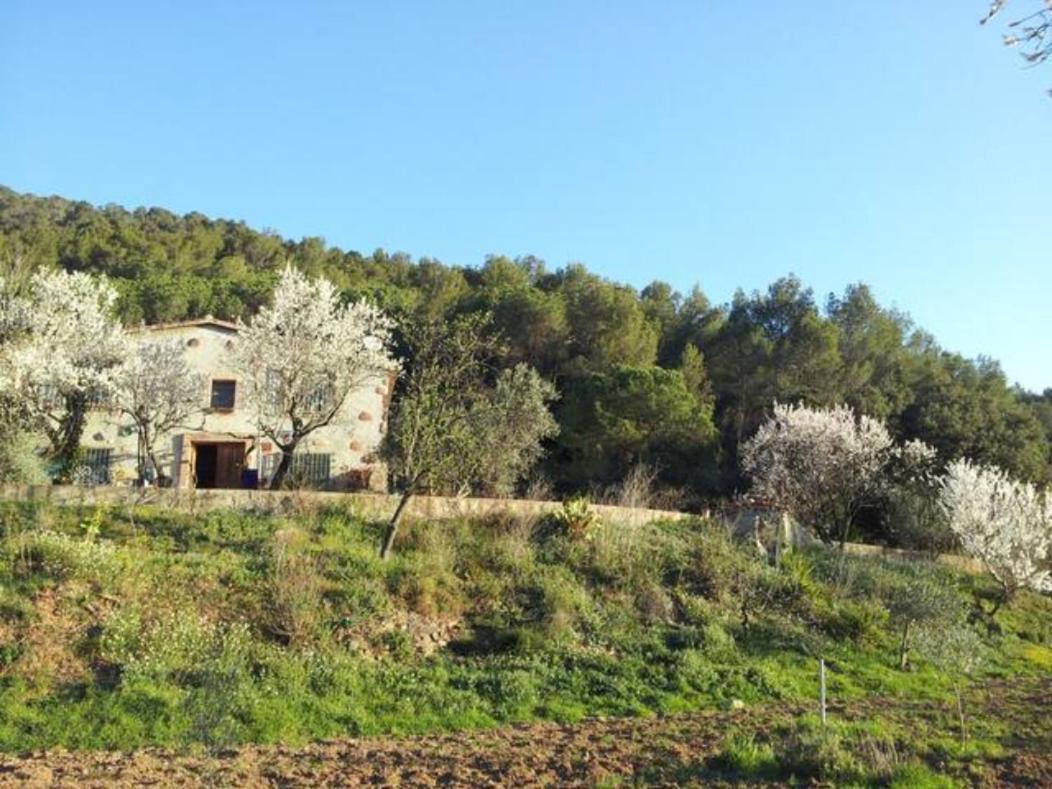 Masia Can Sunyer Agroturismo La Garriga Dış mekan fotoğraf